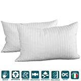 EvergreenWeb - Paire de Coussins 40x70 en Mousse à Mémoire de Forme Oreillers excellents pour Les Cervicales, Rembourrage Flocon de Mousse Visco-élastique Hypoallergénique avec Housse Anti-Acariens