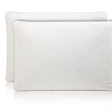 ZenPur - Lot de 2 Oreillers Fibre de Bambou Bio à Mémoire de Forme 100% Visco-Elastique Enrichie à l'Huile de Soja - 60x40cm - Accepte une Taie de 50x70cm par Oreiller